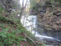 F5 10-26-2008_00009.JPG