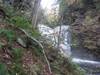 F5 10-26-2008_00010.JPG