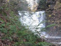F5 10-26-2008_00015.JPG