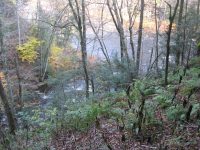 F5 10-26-2008_00026.JPG