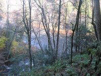 F5 10-26-2008_00027.JPG