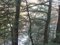 F5 10-26-2008_00034.JPG
