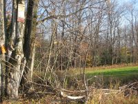 F5 10-26-2008_00043.JPG