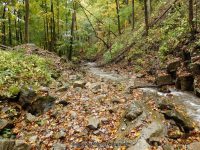 BUTTERMILK FALLS (LITTLE FALLS) HERKIMER COUNTY CENTRAL NEW YORK 10-4-2014_00012.JPG