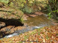 BUTTON FALLS MADISON COUNTY CENTRAL NEW YORK 10-4-2014_00004.JPG