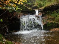 BUTTON FALLS MADISON COUNTY CENTRAL NEW YORK 10-4-2014_00024.JPG