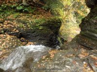 BUTTON FALLS MADISON COUNTY CENTRAL NEW YORK 10-4-2014_00025.JPG
