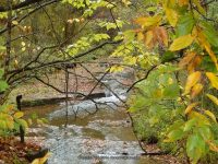 BUTTON FALLS MADISON COUNTY CENTRAL NEW YORK 10-4-2014_00026.JPG