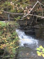 EAGLE CLIFF SCHUYLER CENTRAL NY 10-19-2010_00010.JPG