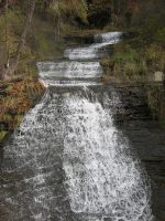 JOHNS LOWER SCHUYLER CENTRAL NY 10-19-2010_00002.JPG