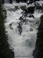 DIONONDAHOWA WASHINGTON EASTERN NY 7-16-2010_00013.JPG