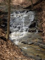 Harrigan's Falls Erie County Western New York 4-13-2014_00004.JPG