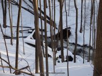 Valley Falls Rensselaer County Eastern New York 2-22-2014_00001.JPG