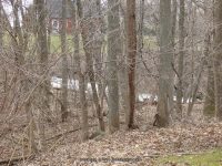 Morganville Falls Genesee County Western New York 4-13-2014_00002.JPG