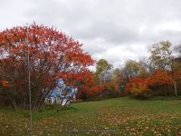 MILKHOUSE FALLS LEWIS COUNTY NORTHERN NEW YORK 10-18-2014_00008.JPG