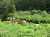 GLEASEMENS FALLS LEWIS NORTHERN NY 5-27-2010_00004.JPG