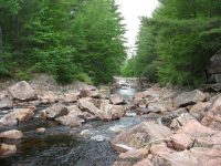 GLEASEMENS FALLS LEWIS NORTHERN NY 5-27-2010_00019.JPG