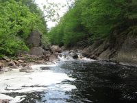 GLEASEMENS FALLS LEWIS NORTHERN NY 5-27-2010_00023.JPG