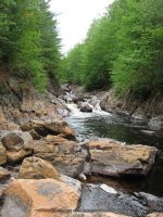 GLEASEMENS FALLS LEWIS NORTHERN NY 5-27-2010_00030.JPG