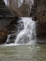 Tannery Falls Erie County Western New York 4-13-2014_00008.JPG