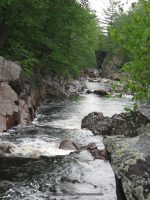 GLEASEMENS FALLS LEWIS NORTHERN NY 5-27-2010_00061.JPG