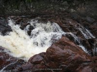 GLEASEMENS FALLS LEWIS NORTHERN NY 5-27-2010_00066.JPG