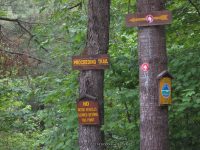 GLEASEMENS FALLS LEWIS NORTHERN NY 5-27-2010_00084.JPG