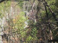 HANGING SPEAR 10-15-2008_00020.JPG