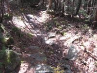 HANGING SPEAR 10-15-2008_00028.JPG