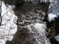 1-PICNIC-PARKING AREA 3-6-2010_00005.JPG