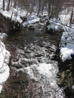 1-PICNIC-PARKING AREA 3-6-2010_00006.JPG