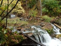 3A-BETWEEN SAW MILL AND CHEESE BOX 10-2-2014_00003.JPG