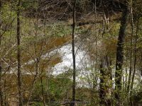 CINCINNATI CREEK FALLS ONEIDA COUNTY CENTRAL NEW YORK 5-11-2014_00001.JPG
