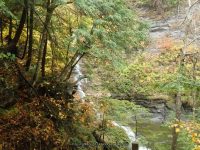 7-CREAMERY FALLS 10-2-2014_00010.JPG