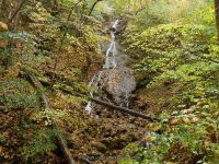 9-DAVES LOOKOUT 10-2-2014_00016.JPG