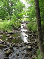 MILL PARK WARREN NORTHERN NY 7-13-2010_00011.JPG