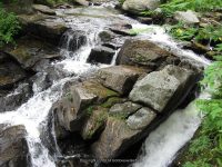 MILL PARK WARREN NORTHERN NY 7-13-2010_00012.JPG