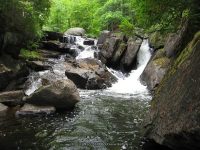 MILL PARK WARREN NORTHERN NY 7-13-2010_00013.JPG