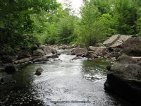 MILL PARK WARREN NORTHERN NY 7-13-2010_00016.JPG