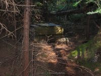 7-dam back to lean to_00008.JPG