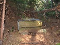 7-dam back to lean to_00009.JPG