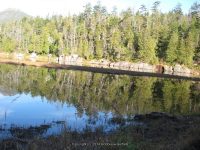 7-dam back to lean to_00011.JPG