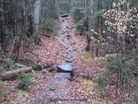 8 lean to to the state boundry_00011.JPG
