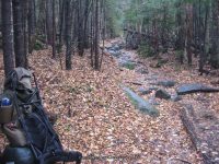8 lean to to the state boundry_00015.JPG