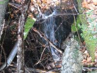 8 lean to to the state boundry_00022.JPG