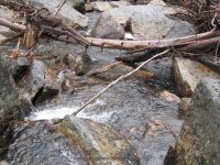10 first bridge to trailhead_00017.JPG