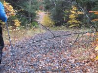 10 first bridge to trailhead_00024.JPG