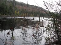 10 first bridge to trailhead_00025.JPG