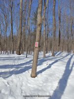 Washout Creek Falls Schenectady County Eastern New York 2-22-2014_00005.JPG