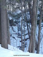 Goulds South Rensselaer County Eastern NY 2-22-2014_00001.JPG